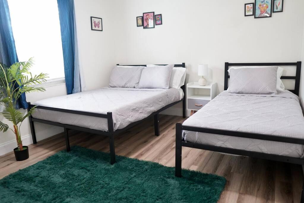 דירות טאמפה Jay'S Cozy Arts מראה חיצוני תמונה